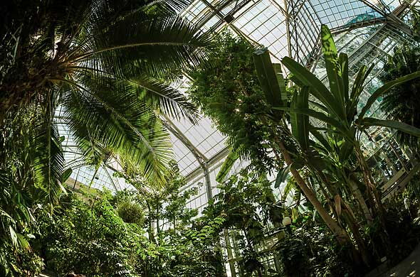 Botanischer Garten St.Gallen, Ausflugsziel Hotel one66